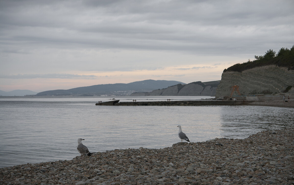 Тихий вечер на побережье - Владимир Носов