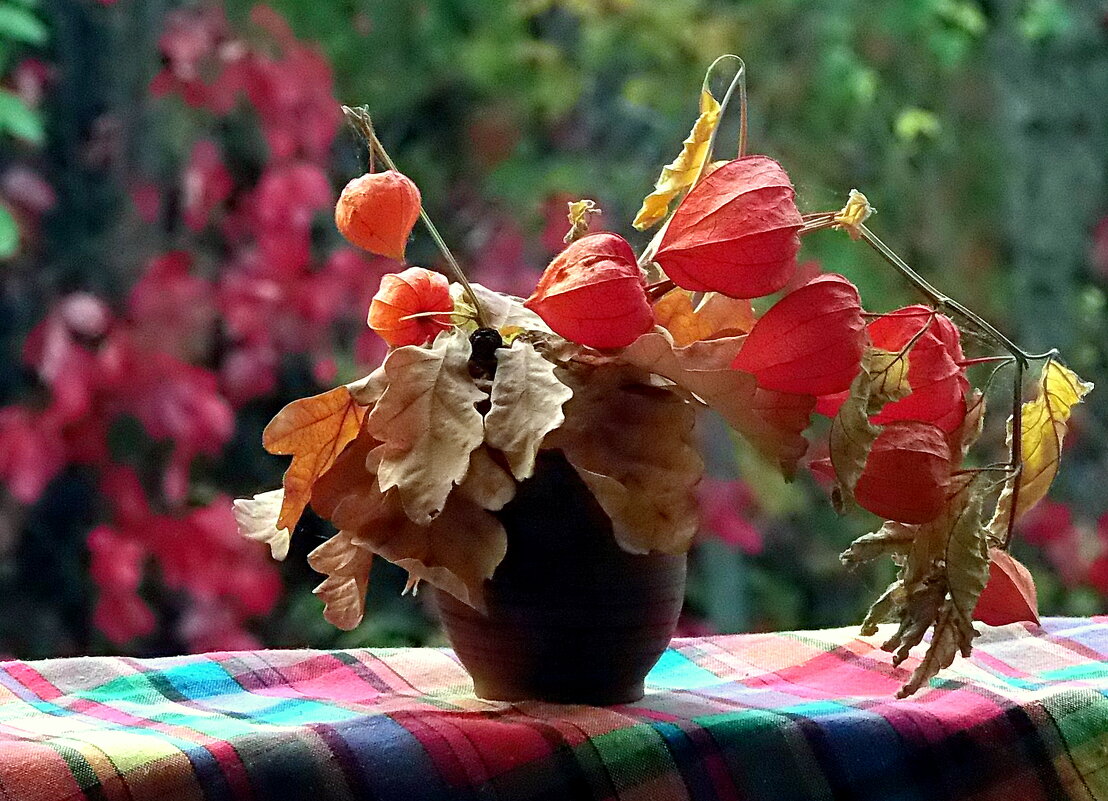 *   *   * - Елена 