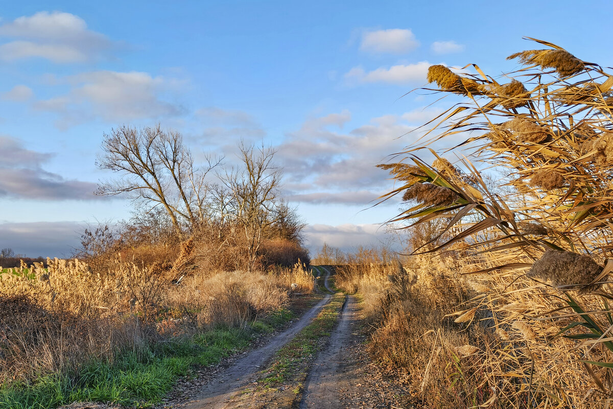 Осенне-весенний пейзаж - Валерий Ткаченко