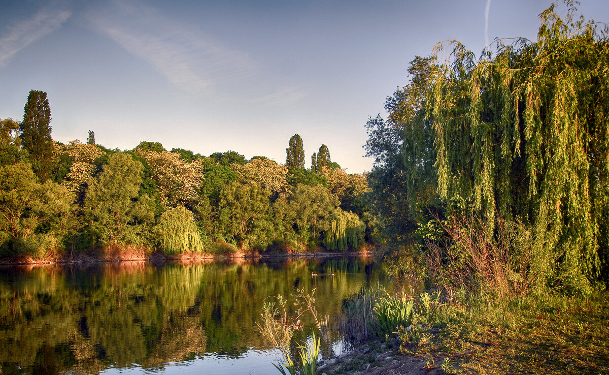 ******** - Андроник Александр ******** - Андроник Александр