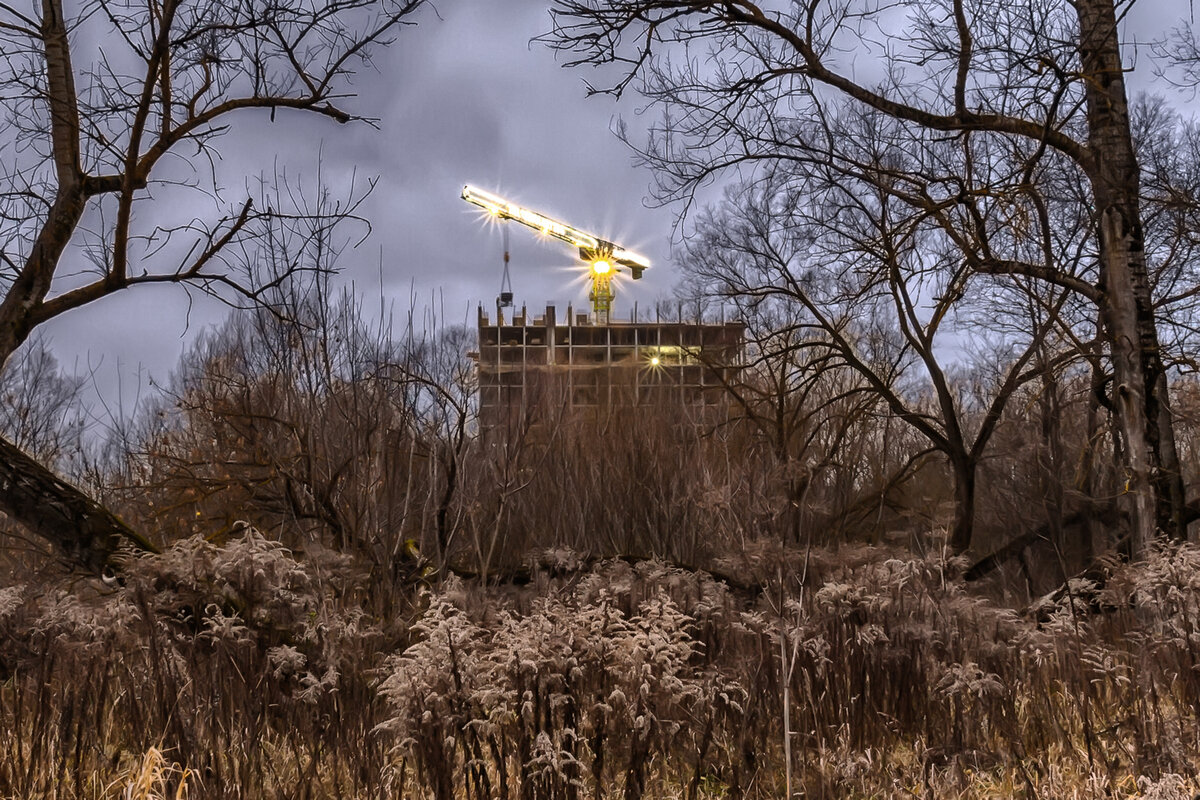 ... урбанизация, города наступают ... - Дмитрий Сундеев