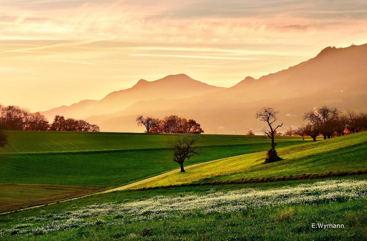 evening - Elena Wymann