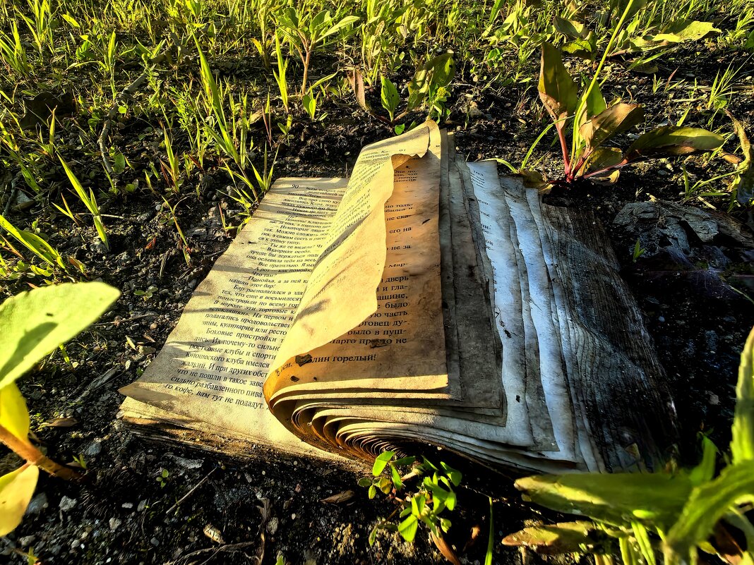 Забвение. - Елена 