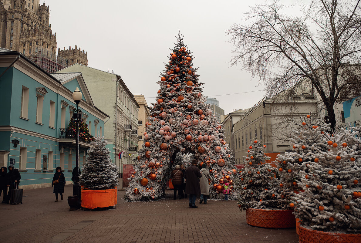 Апельсиновая - Лилия . Апельсиновая - Лилия .