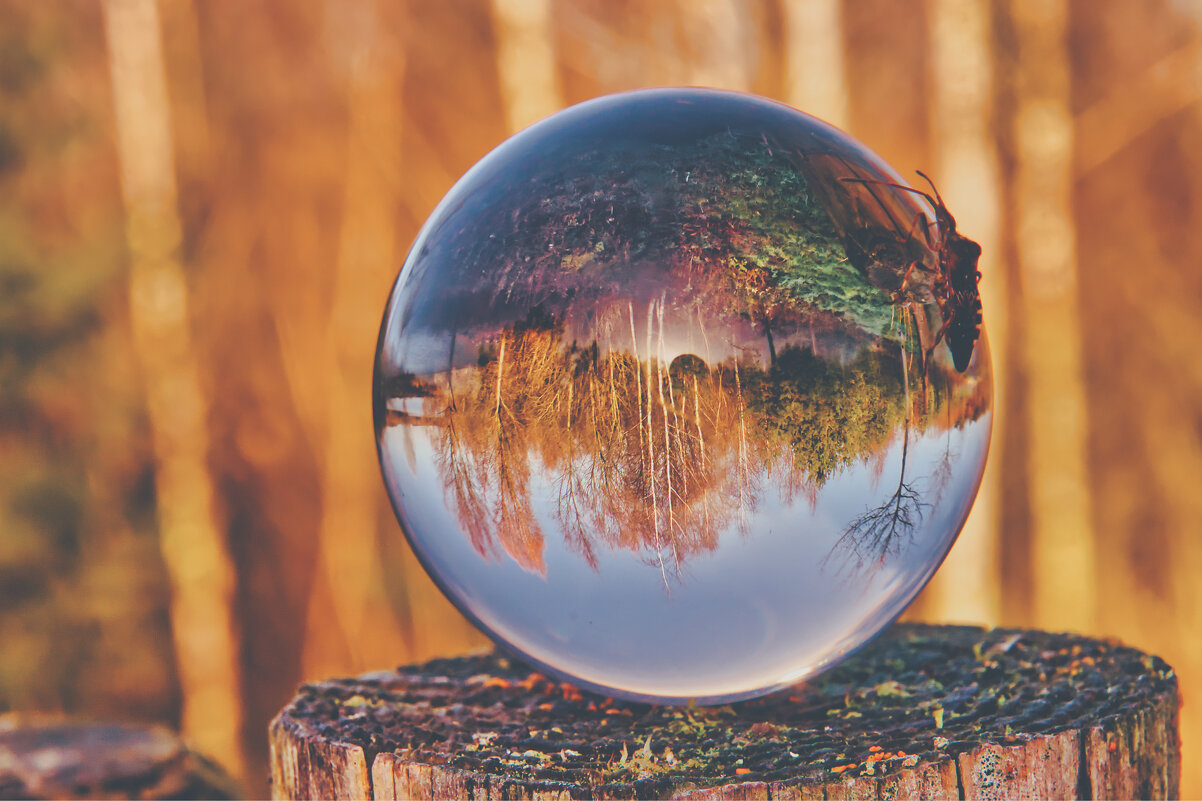 Магия - Jakob Dick