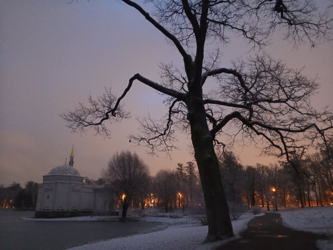 Зима - Сапсан 