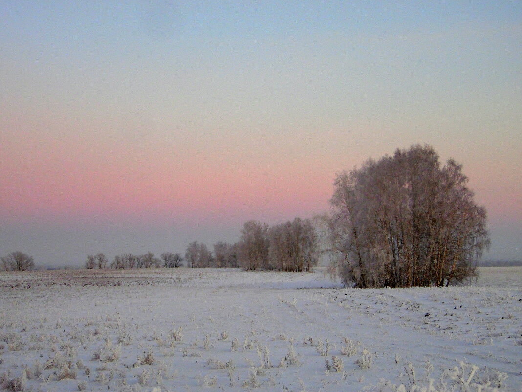 Розовый вечер. - nadyasilyuk Вознюк Розовый вечер. - nadyasilyuk Вознюк