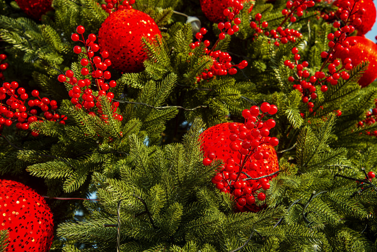 На ёлке - Анатолий Чикчирный На ёлке - Анатолий Чикчирный