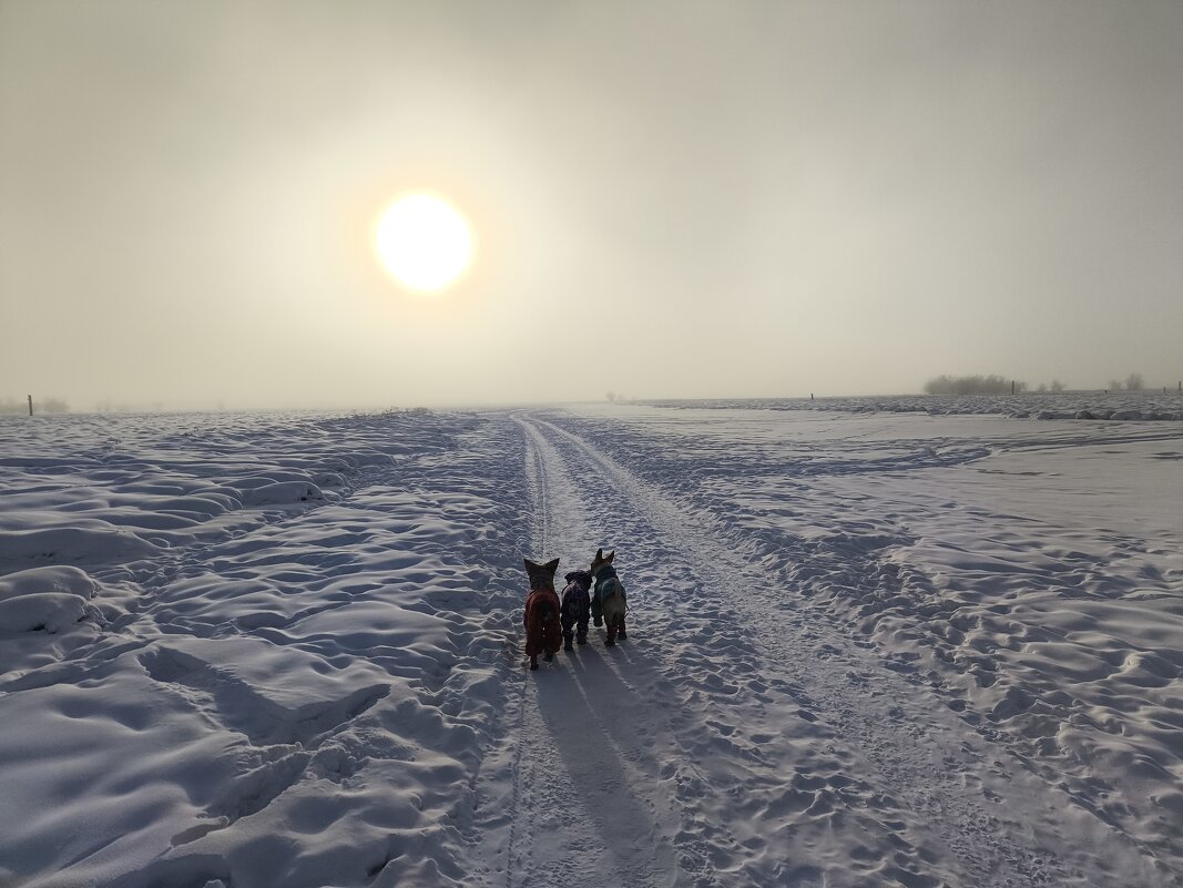 Зимние прогулки - Anna Ivanova Зимние прогулки - Anna Ivanova