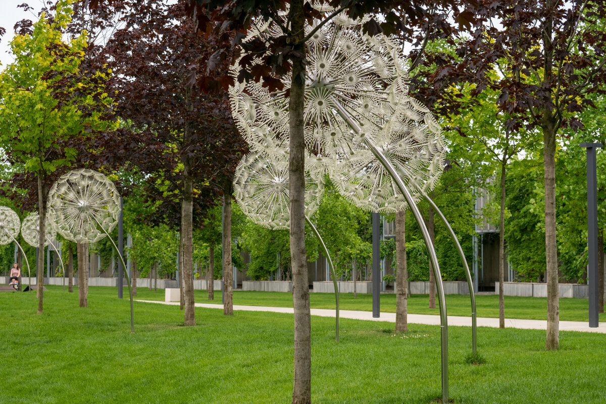 Парк Галицкого в Краснодаре - Игорь Сикорский