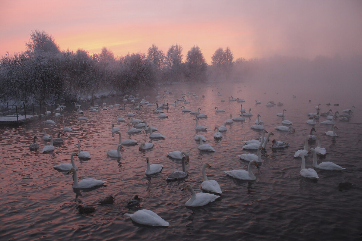 Рассвет над озером Светлое - елена беликова Рассвет над озером Светлое - елена беликова