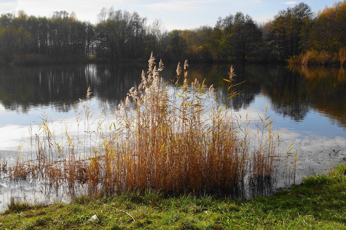 Картинки осени - Рита Симонова Картинки осени - Рита Симонова