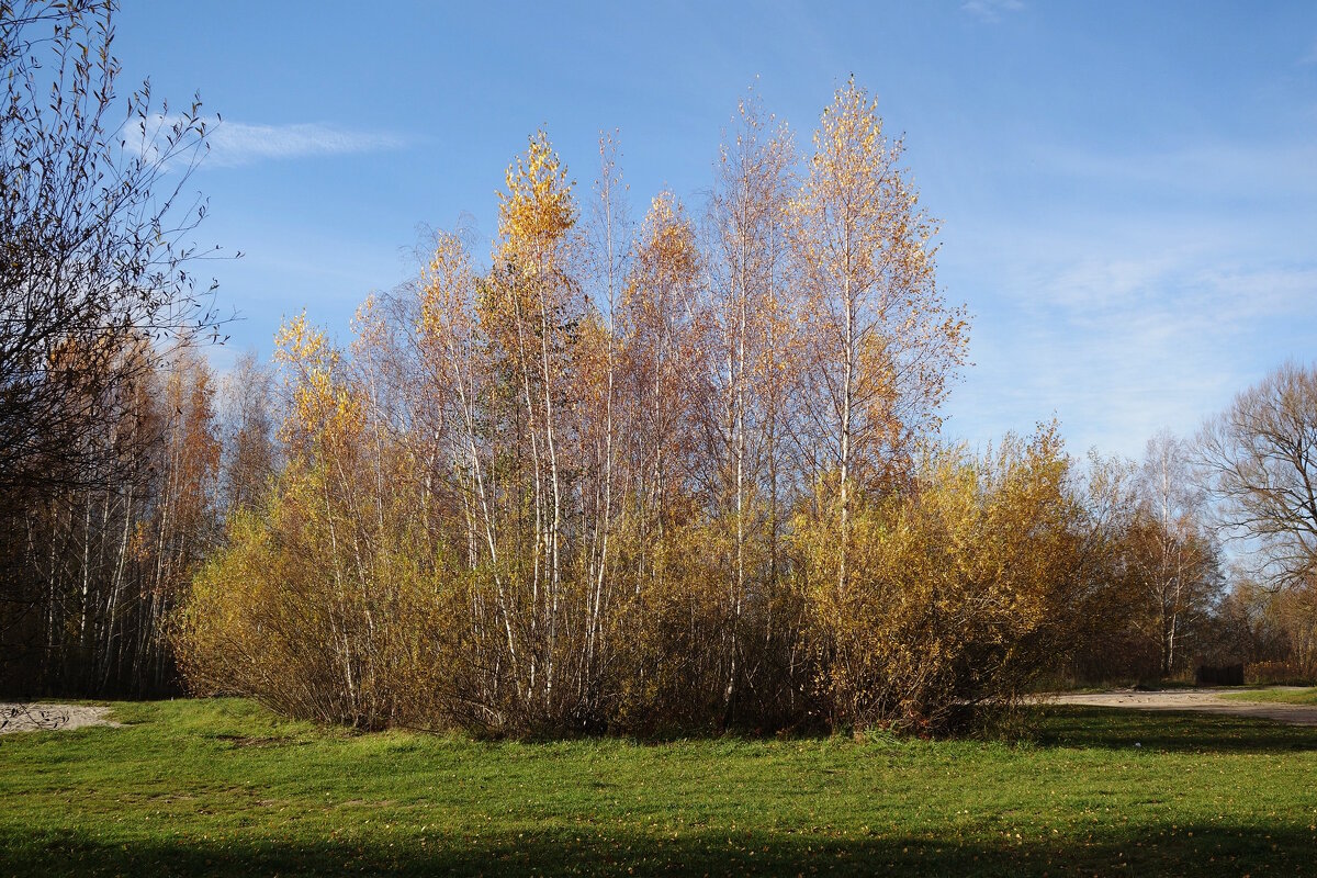 Картинки осени - Рита Симонова Картинки осени - Рита Симонова