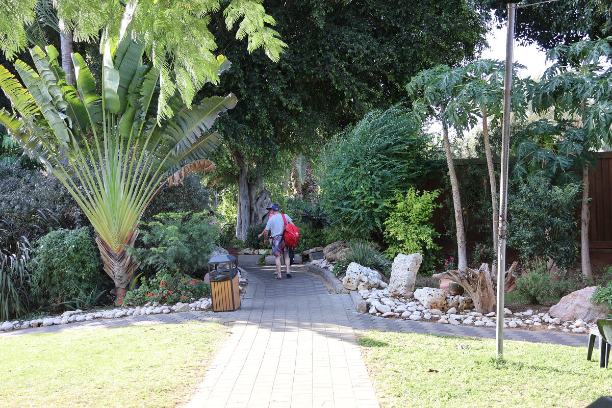 Водолечебница - Аркадий Басович Водолечебница - Аркадий Басович