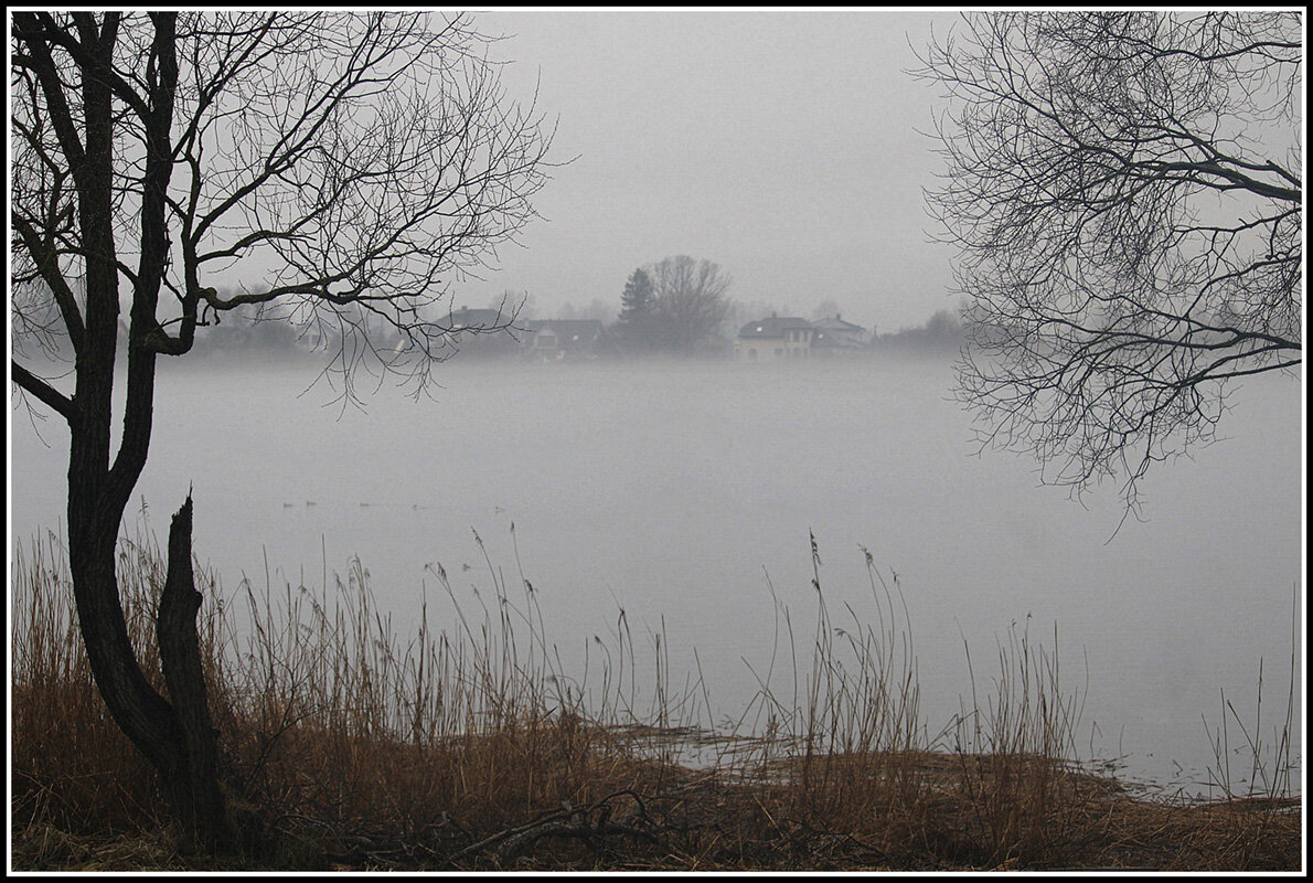 *** - Aleksandr Gal *** - Aleksandr Gal