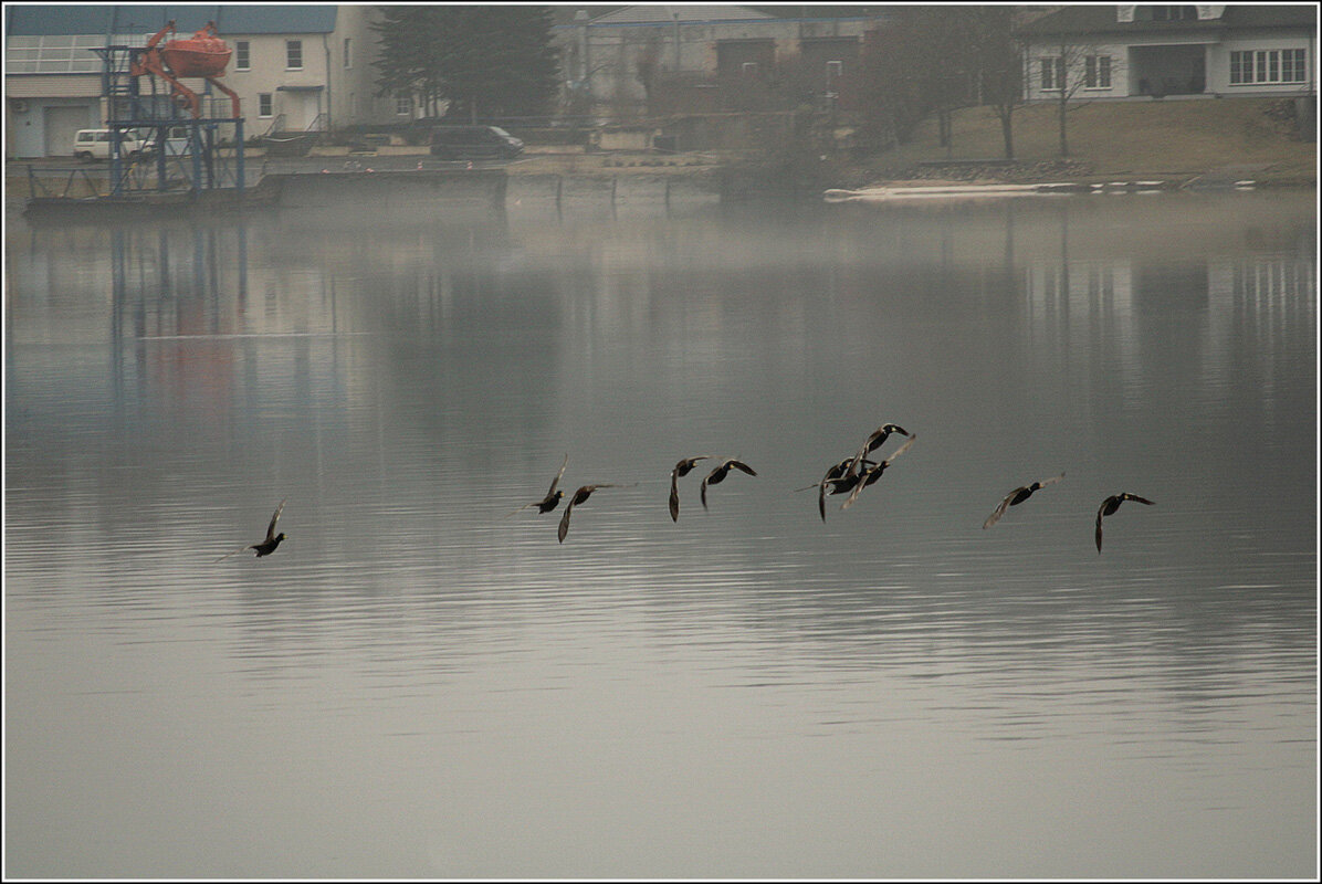 *** - Aleksandr Gal *** - Aleksandr Gal