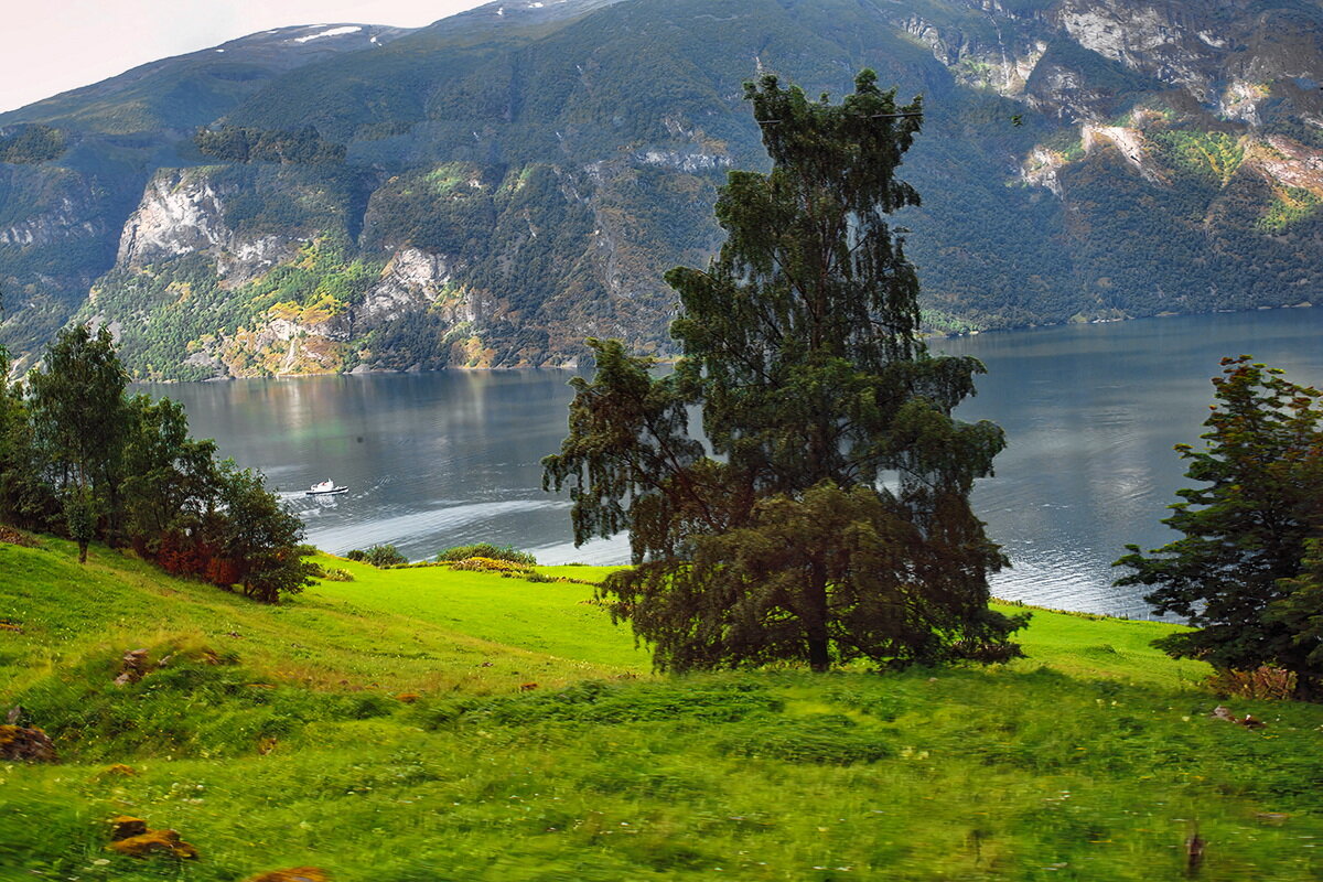 Nor way 37 - Arturs Ancans