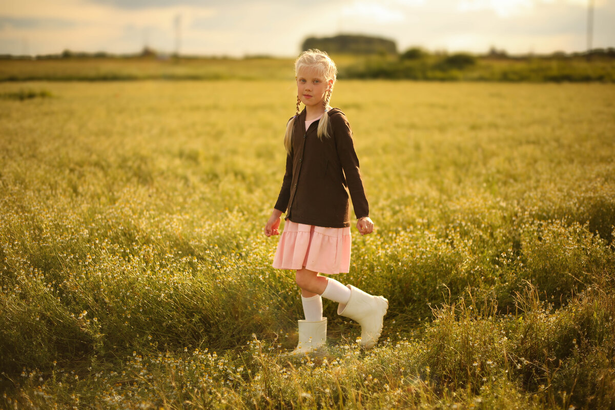 в поле ромашек - Наталья Муравейко