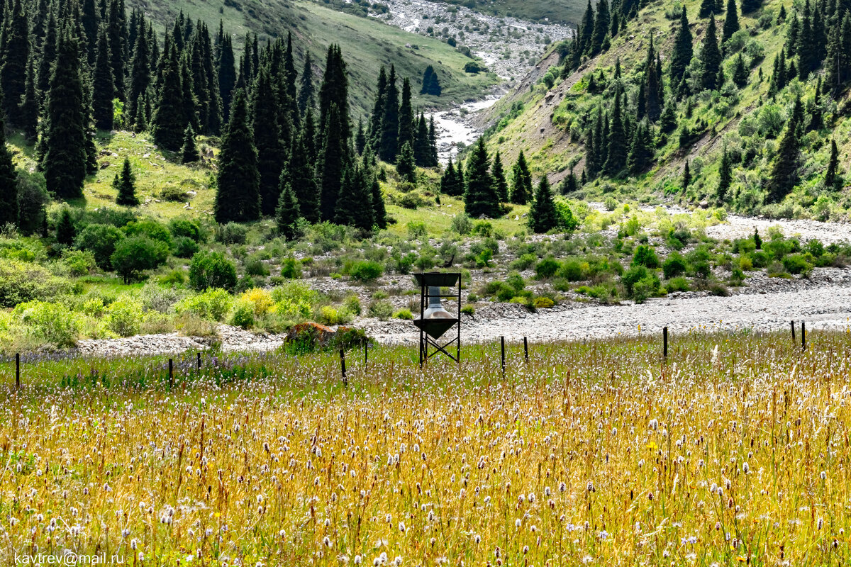 6 - HART BAD 6 - HART BAD