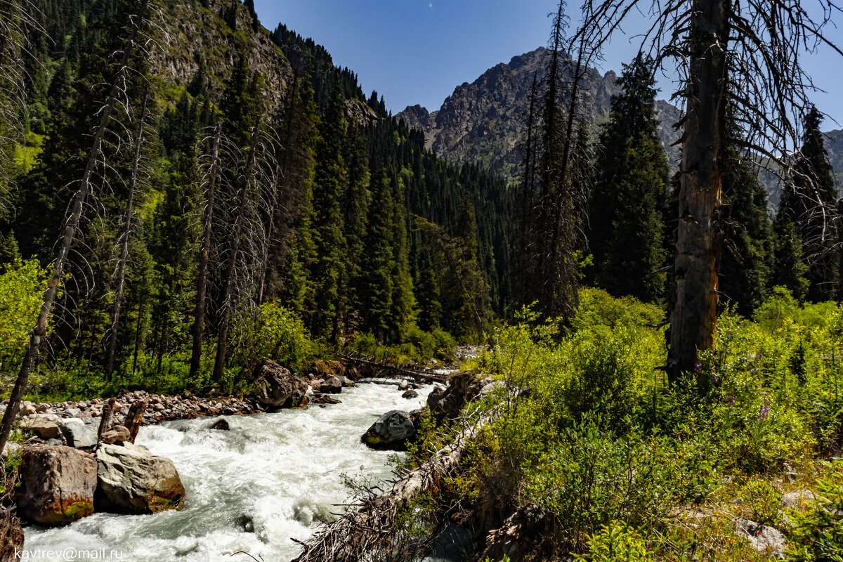 6 - HART BAD 6 - HART BAD