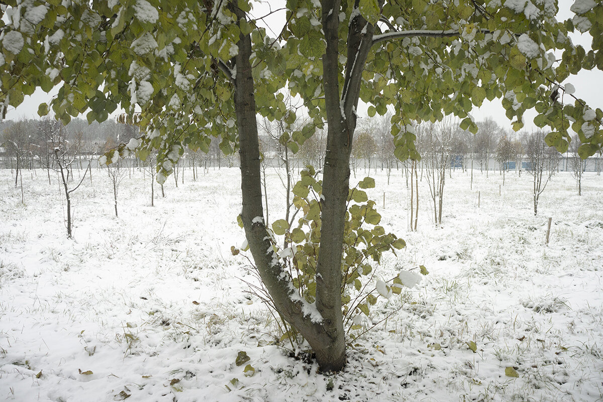 *** - Владимир Носов *** - Владимир Носов