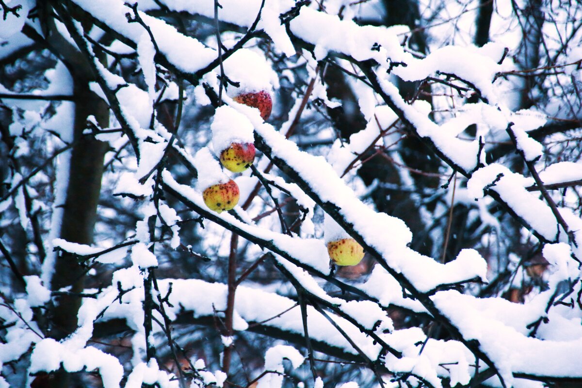 забыли... - Сергей Тарбеев