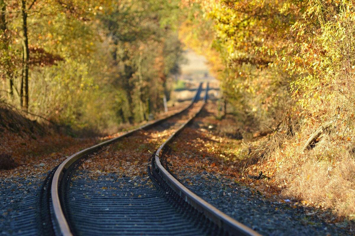 Осенний "тоннель" - Milan Bubeníček Осенний "тоннель" - Milan Bubeníček