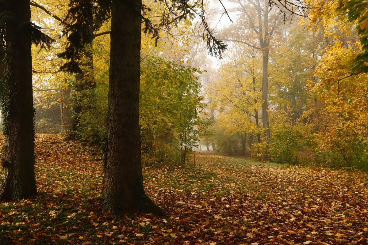 Ноябрьское утро - Юрий. Шмаков Ноябрьское утро - Юрий. Шмаков