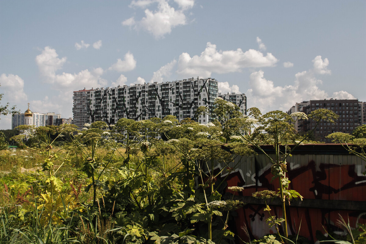 Кудрово - Chortyla Кудрово - Chortyla