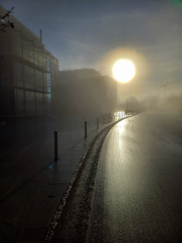 Туман в Тюбингене - Сергей Порфирьев Туман в Тюбингене - Сергей Порфирьев