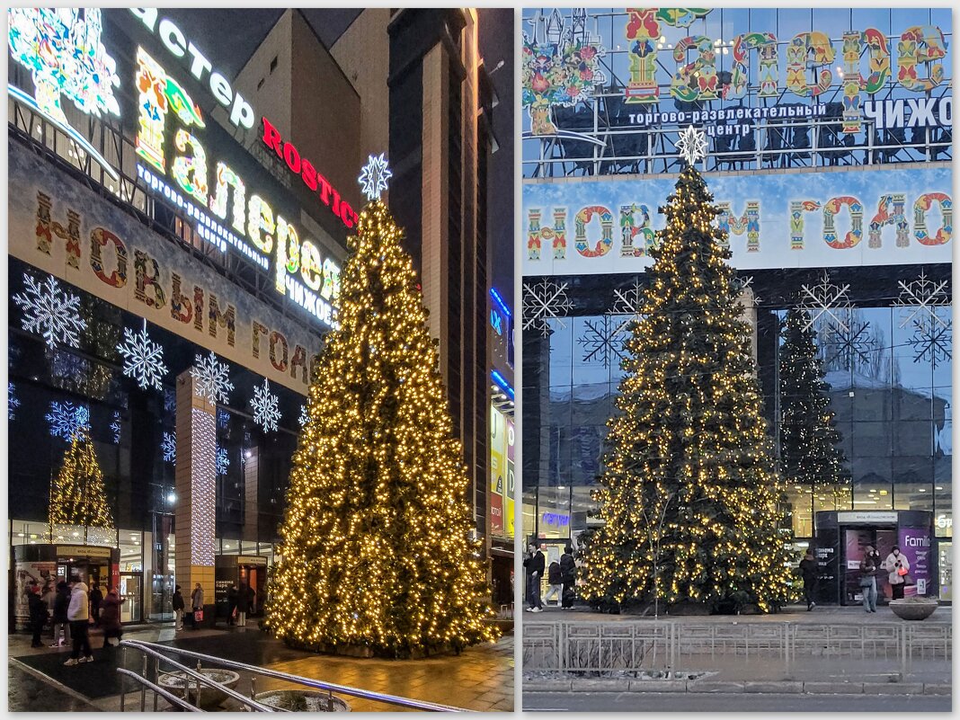 Первые признаки приближающегося Нового года - Татьяна Машошина Первые признаки приближающегося Нового года - Татьяна Машошина