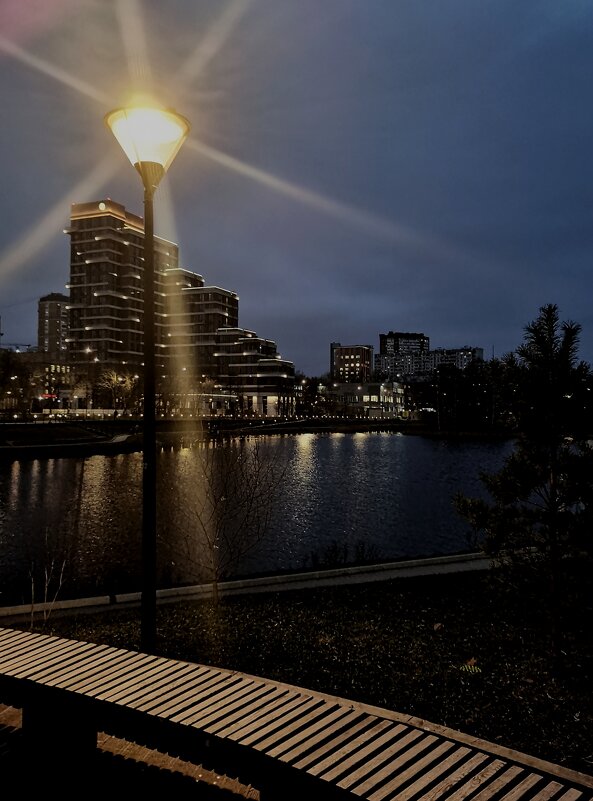 Вечер вторника декабря. - Любимова Ольга Вечер вторника декабря. - Любимова Ольга