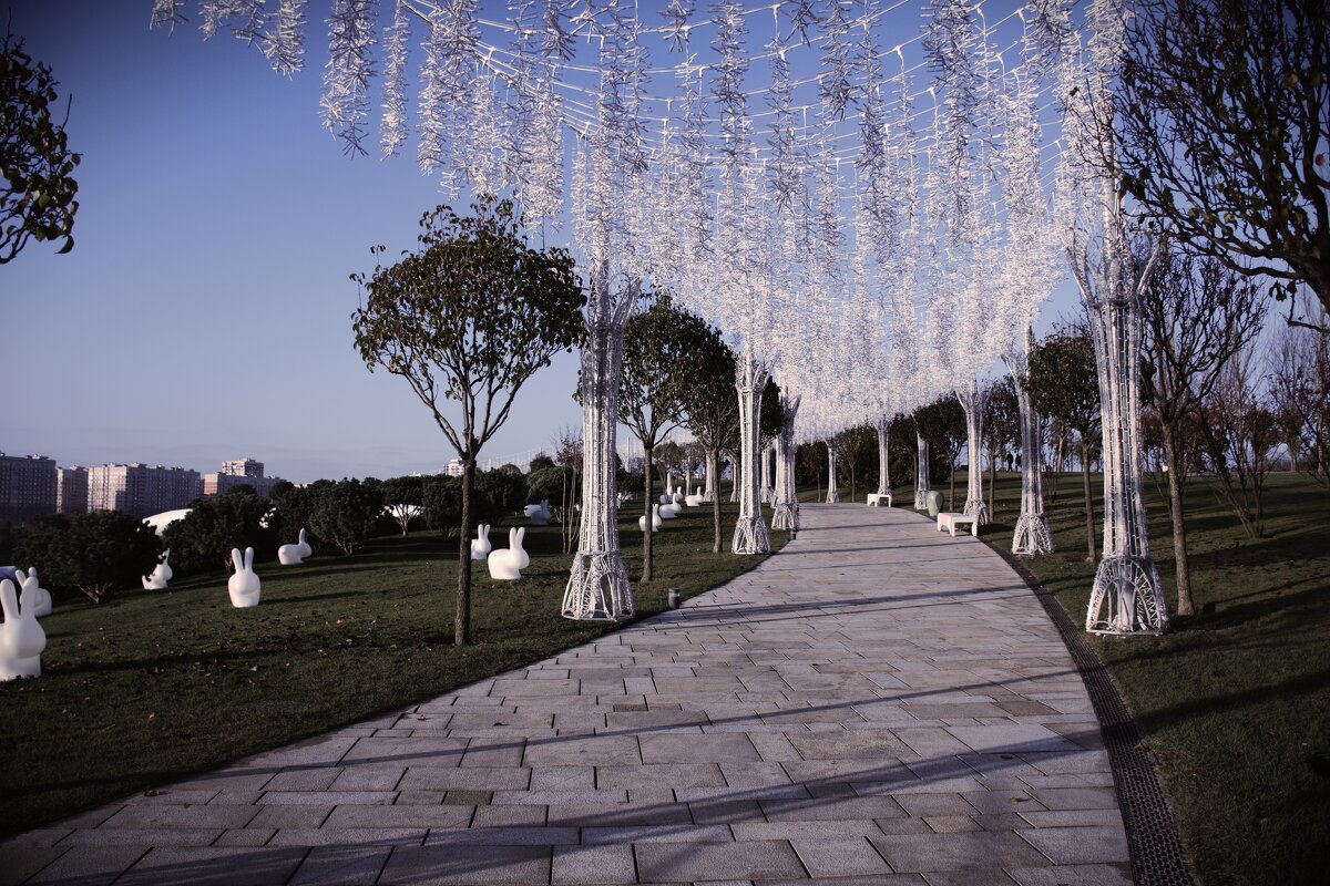 Дорожка в кроличью нору. - Юрий Полторыхин. Дорожка в кроличью нору. - Юрий Полторыхин.