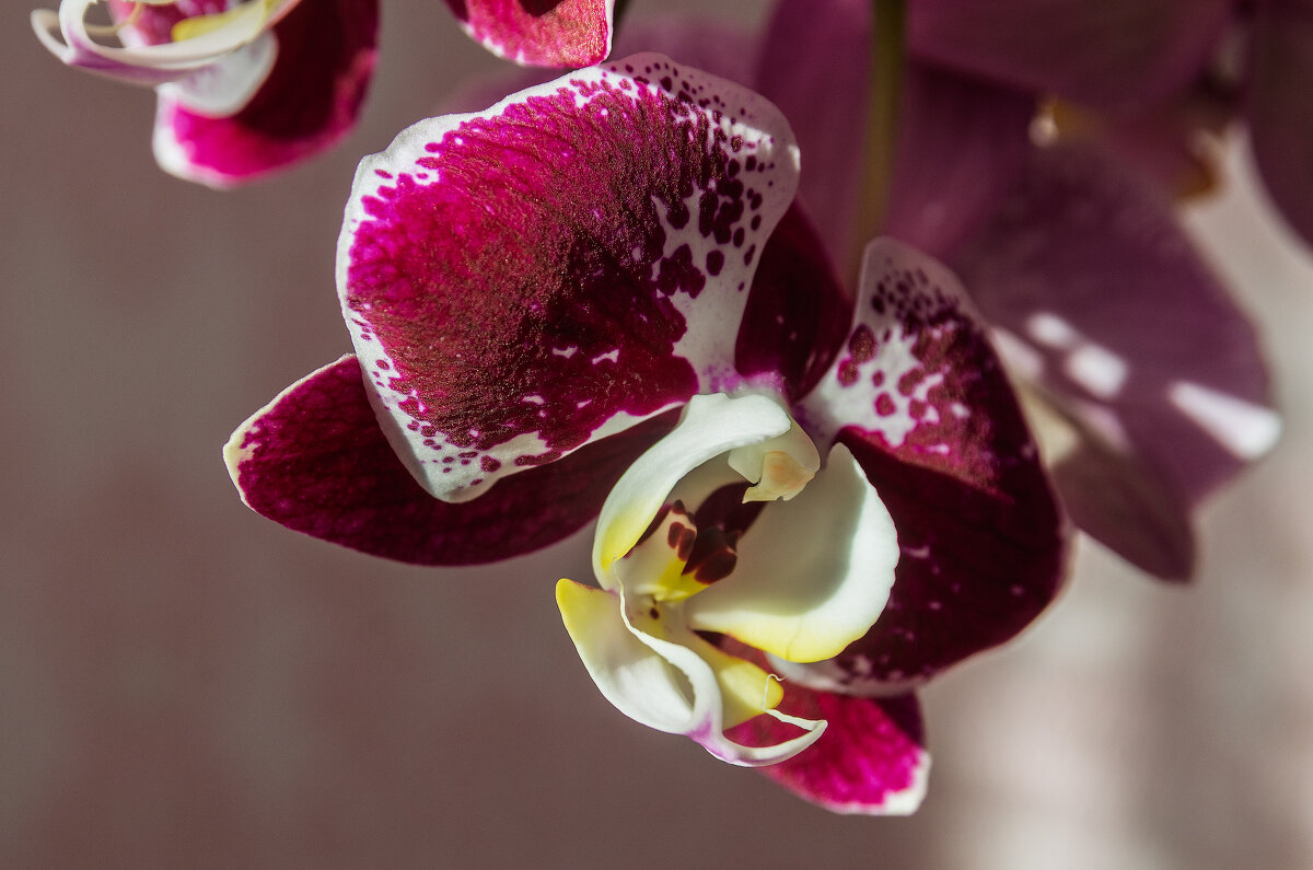 *** - Виктор Иванович Чернюк