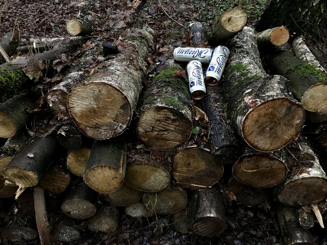 Инсталляция в парке - Любовь 