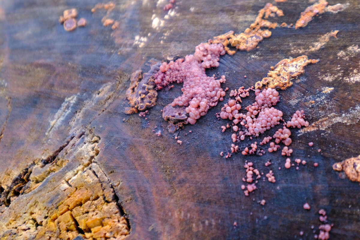 В космическом пространстве - Георгий А В космическом пространстве - Георгий А