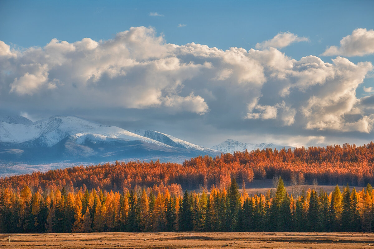 Дыхание осени... - Марина Юдинских Дыхание осени... - Марина Юдинских