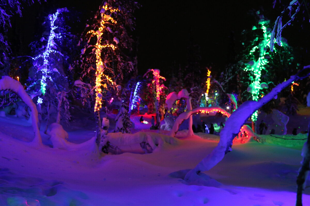 В таинственном лесу - Ольга В таинственном лесу - Ольга