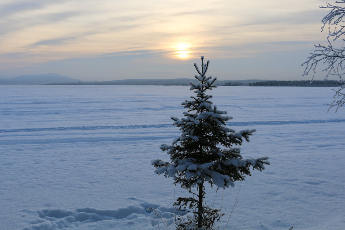 Зима у озера - Ольга Зима у озера - Ольга