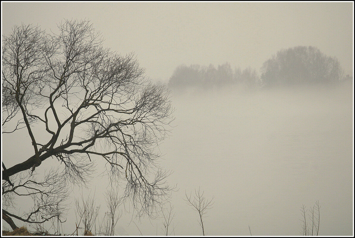 Пришел  туманчик - Aleksandr Gal
