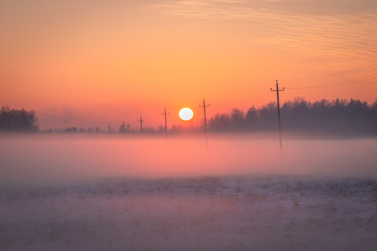**** - Елизавета .