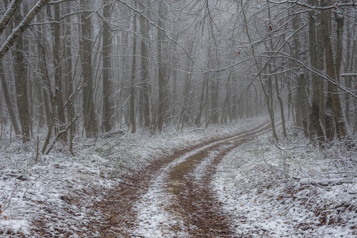 В невесомой вуали тумана... - Наталья Димова В невесомой вуали тумана... - Наталья Димова