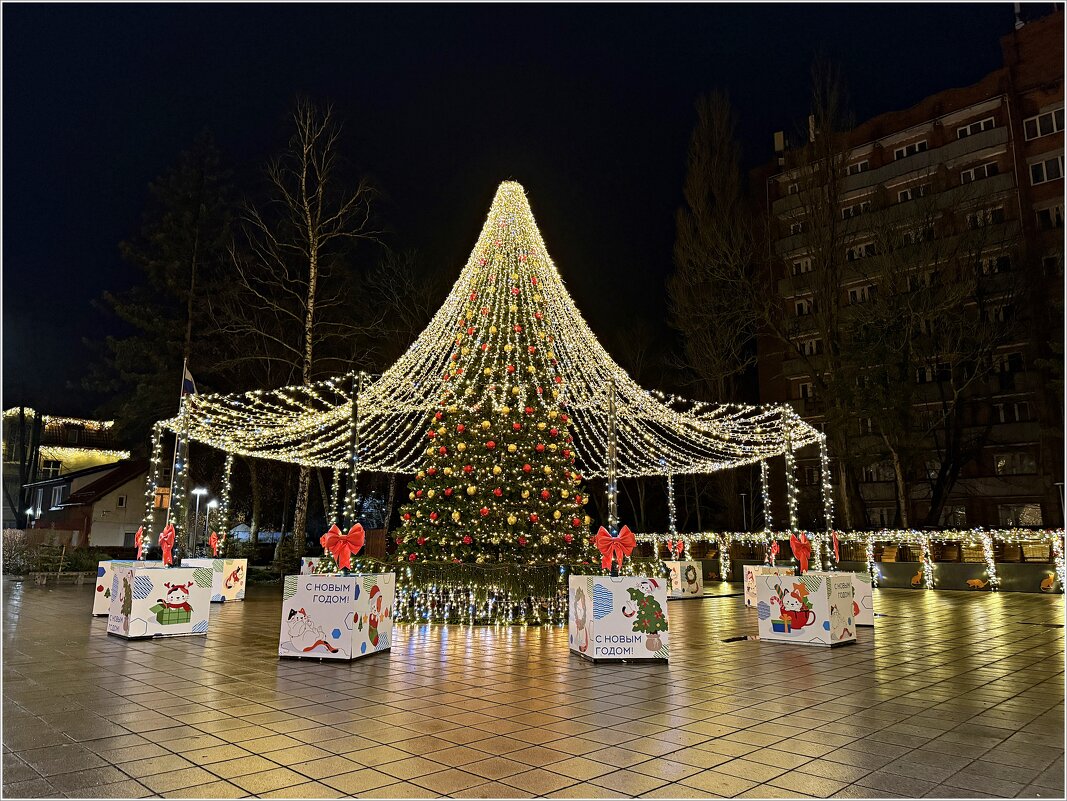 Новогодняя ёлка Зеленоградска. - Валерия Комова Новогодняя ёлка Зеленоградска. - Валерия Комова