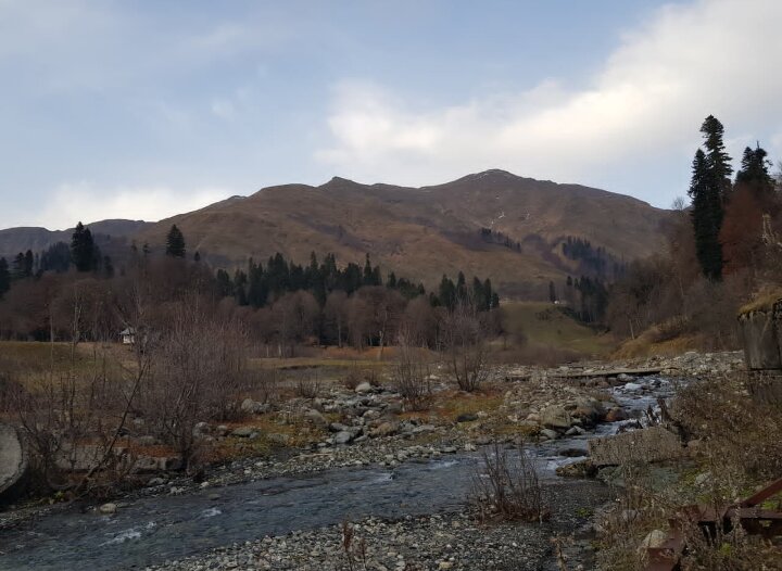 АБХАЗИЯ 2025 НОЯБРЬ - Tata Wolf