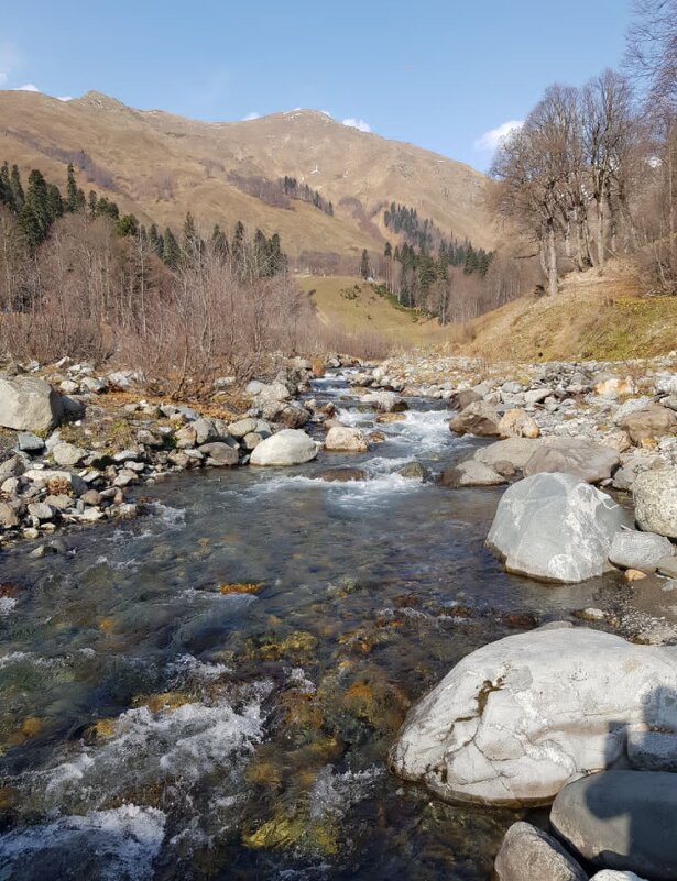 АБХАЗИЯ 2025 НОЯБРЬ - Tata Wolf АБХАЗИЯ 2025 НОЯБРЬ - Tata Wolf