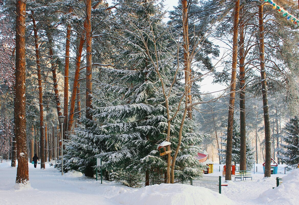 В парке - Галина Нестратова В парке - Галина Нестратова