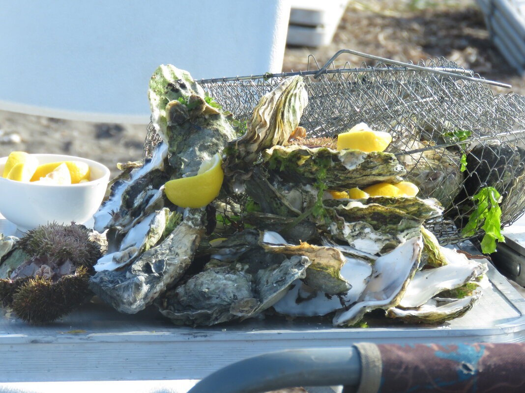 послевкусие.. - ИРЭН@ . послевкусие.. - ИРЭН@ .