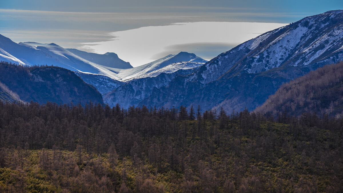 ... - Жора Житников ... - Жора Житников