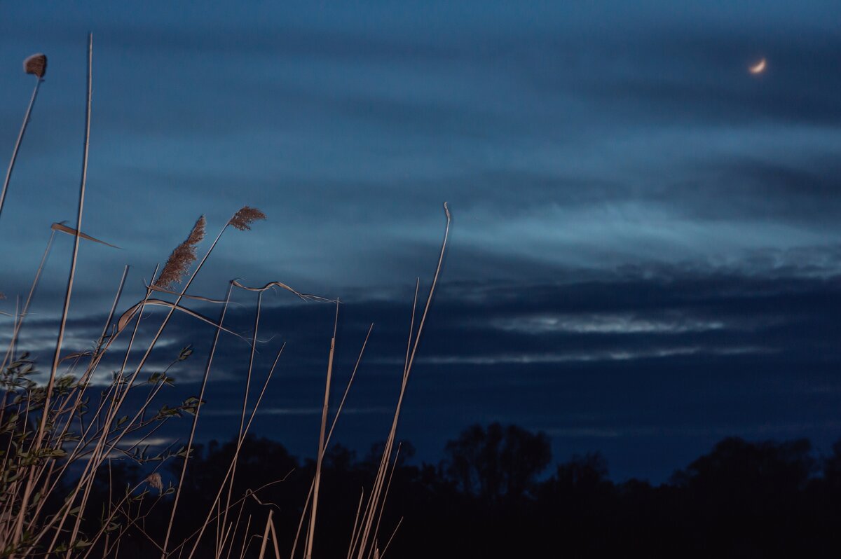 Безмятежная вечерняя атмосфера - Сергей В Безмятежная вечерняя атмосфера - Сергей В