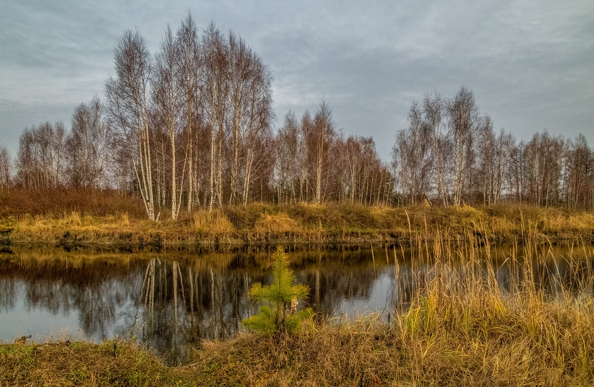 Во такая зима в Подмосковье 5 - Андрей Дворников